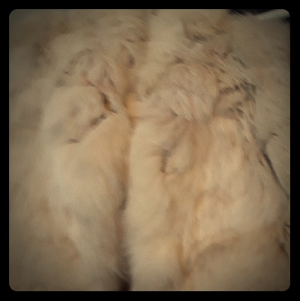 Fur blazer